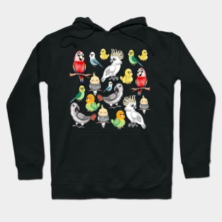 Flock of birds Hoodie